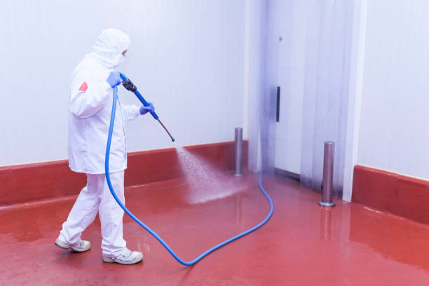 Best Building Exterior Washing  in Lincoln, AL